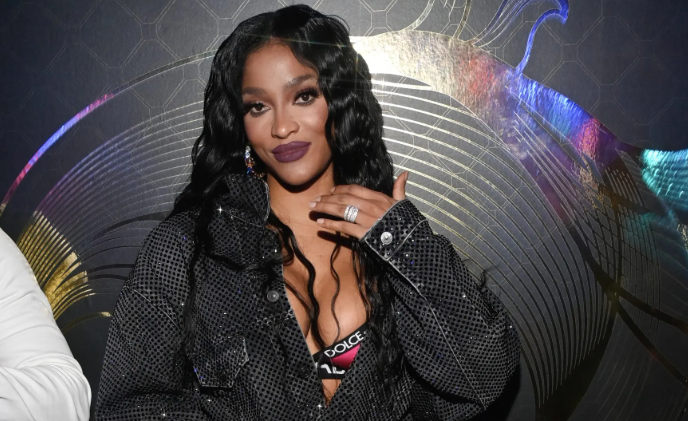 Joseline Hernandez: Net Worth